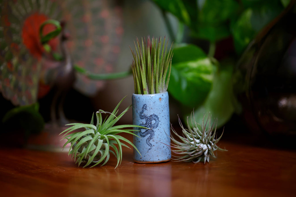 Tiny Tumblers - Waves
