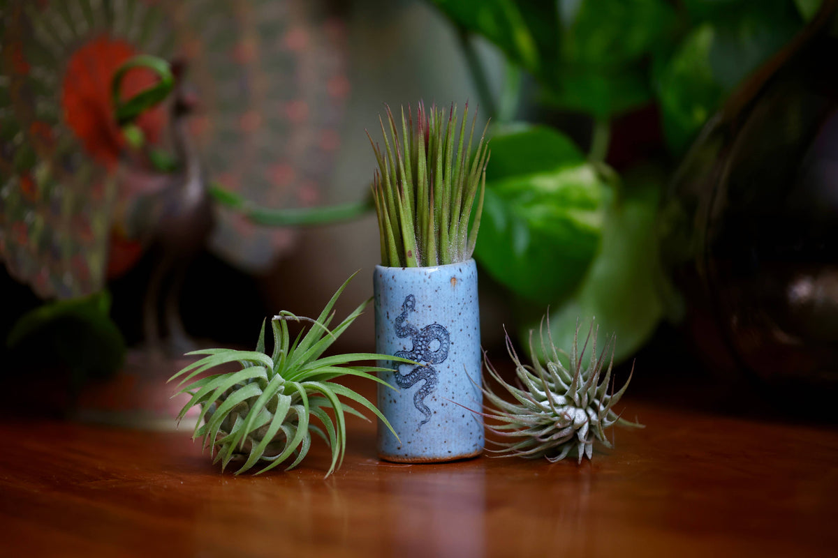 Tiny Tumblers - Waves