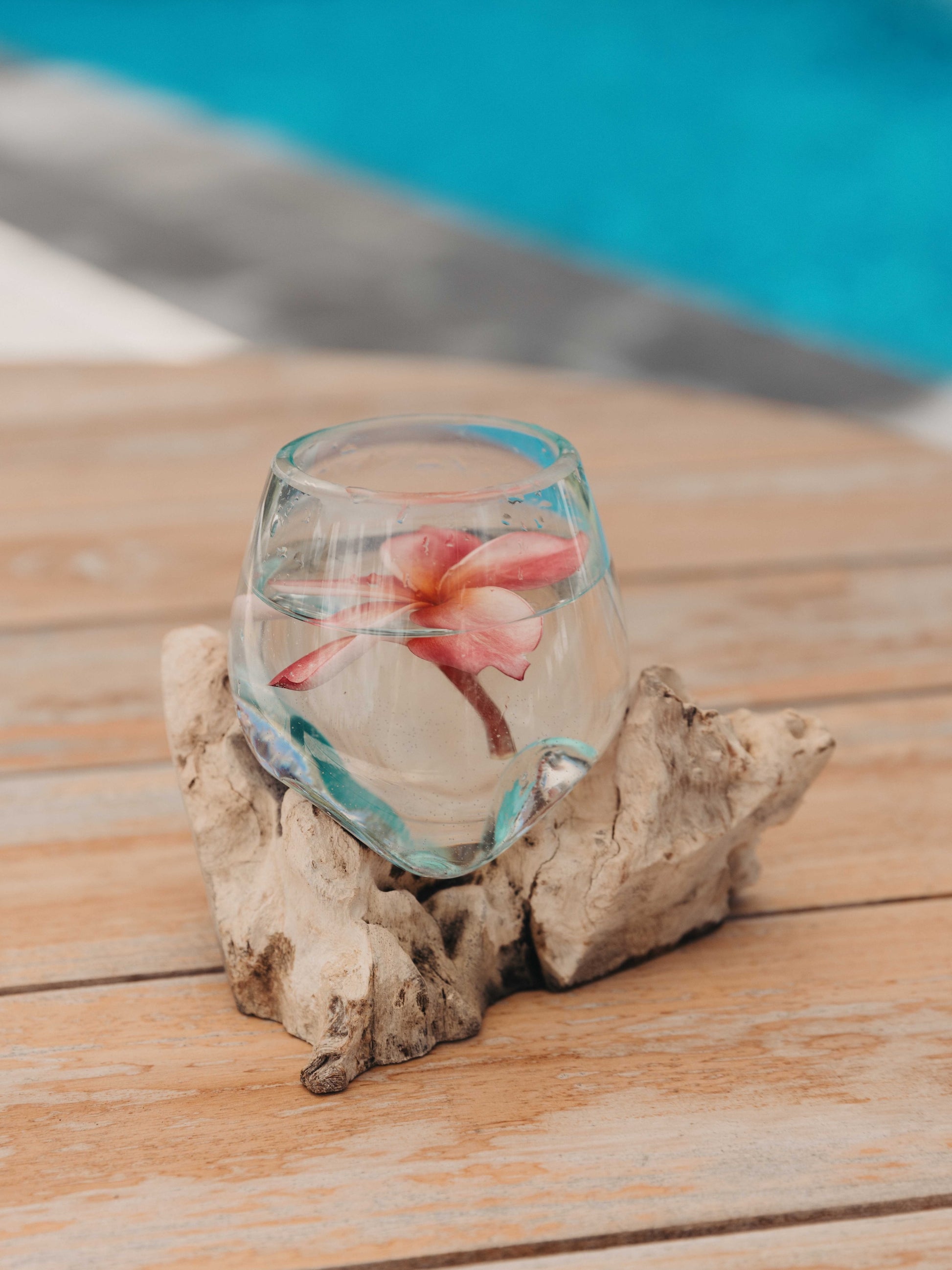 Driftwood & Hand Blown Glass Vase