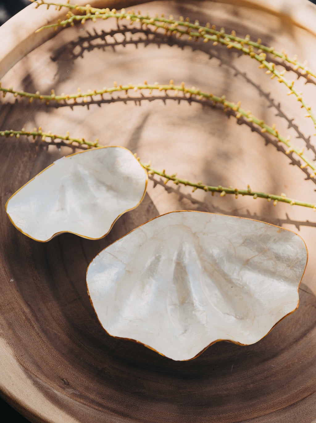 Capiz Shell Shaped Bowl