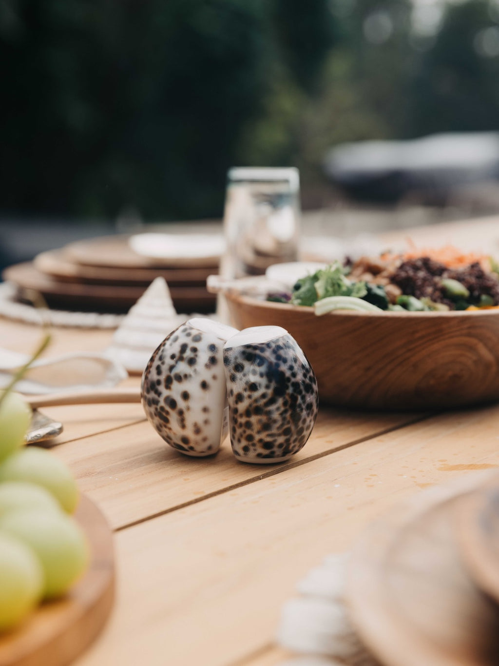 Cowrie Shell Salt & Pepper Shaker Set