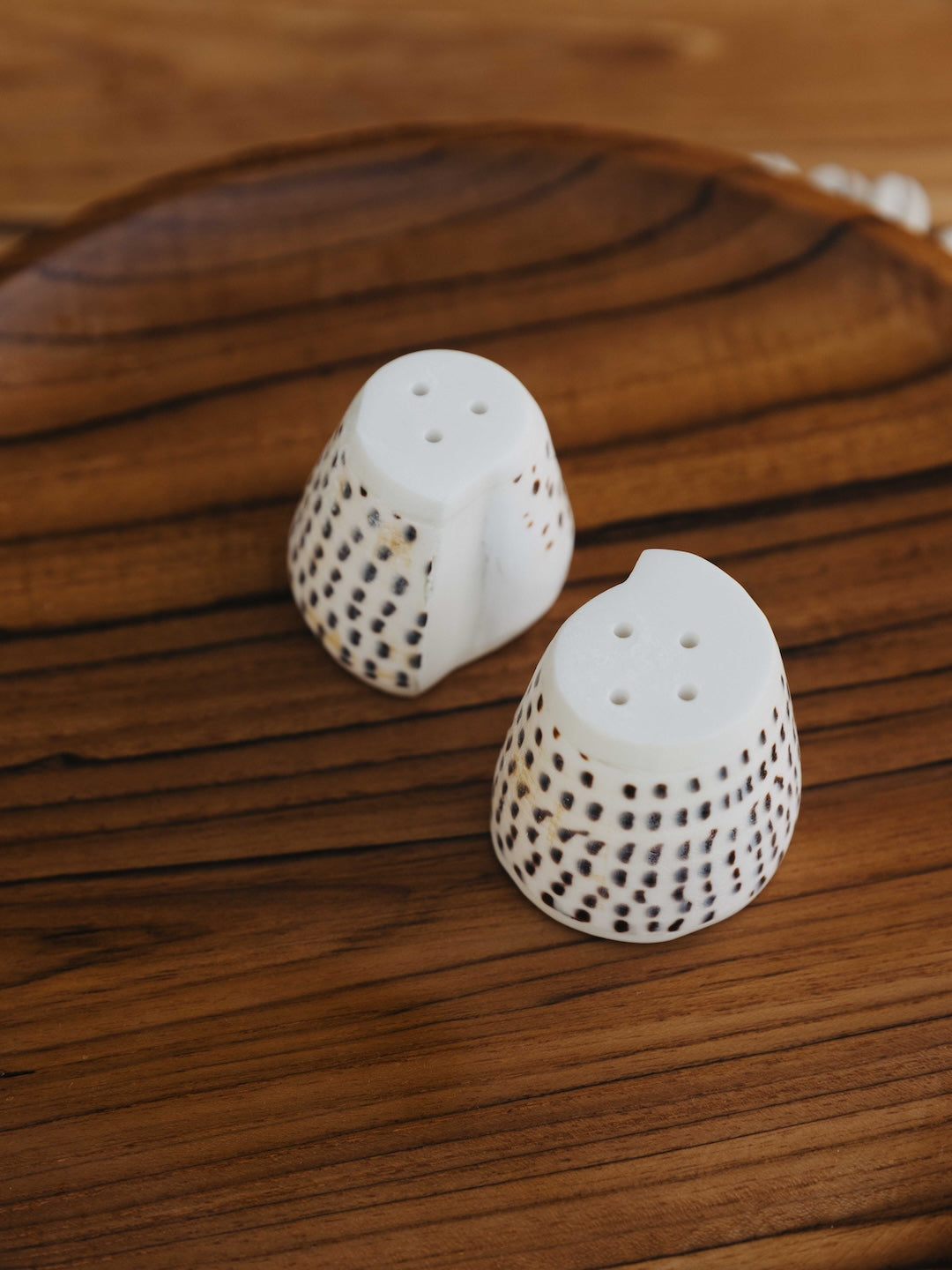 Hebrew Cone Shell Salt & Pepper Shaker Set