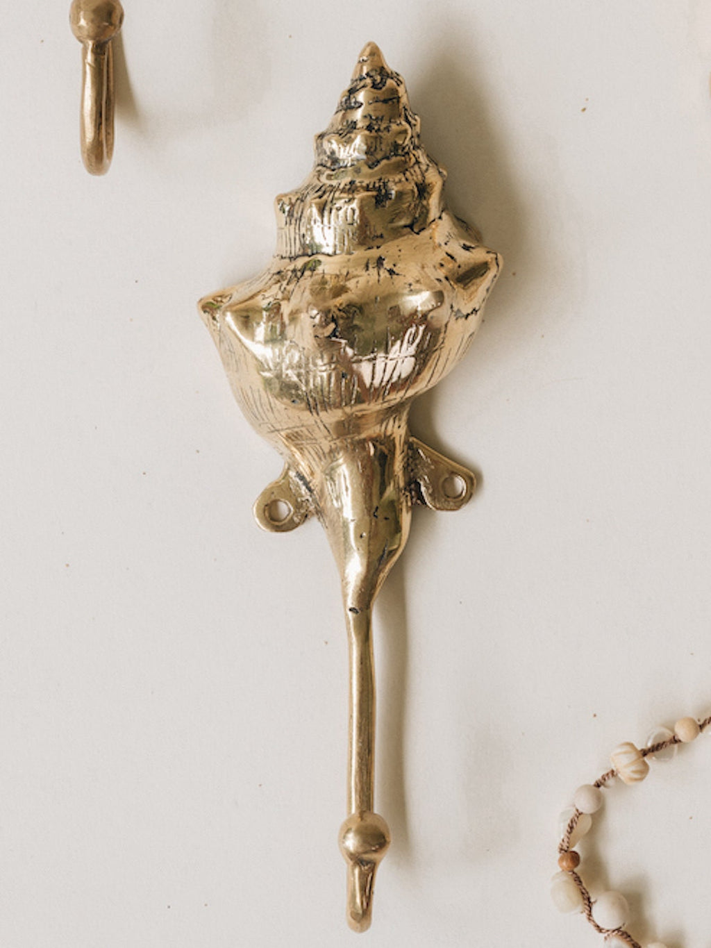 Tropical Brass Hooks