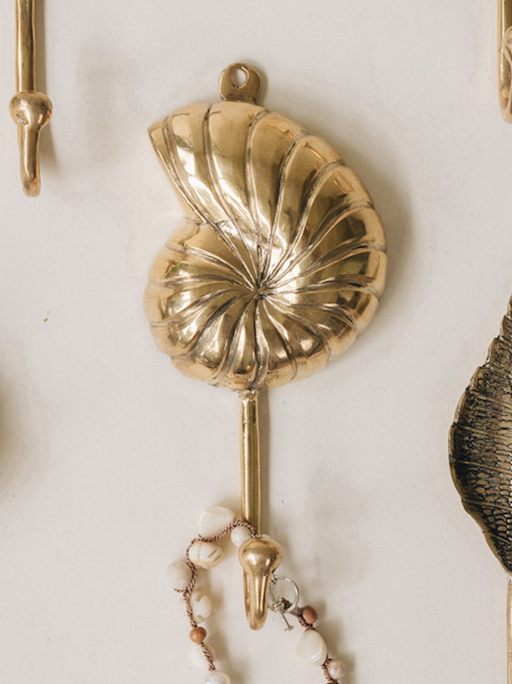 Tropical Brass Hooks