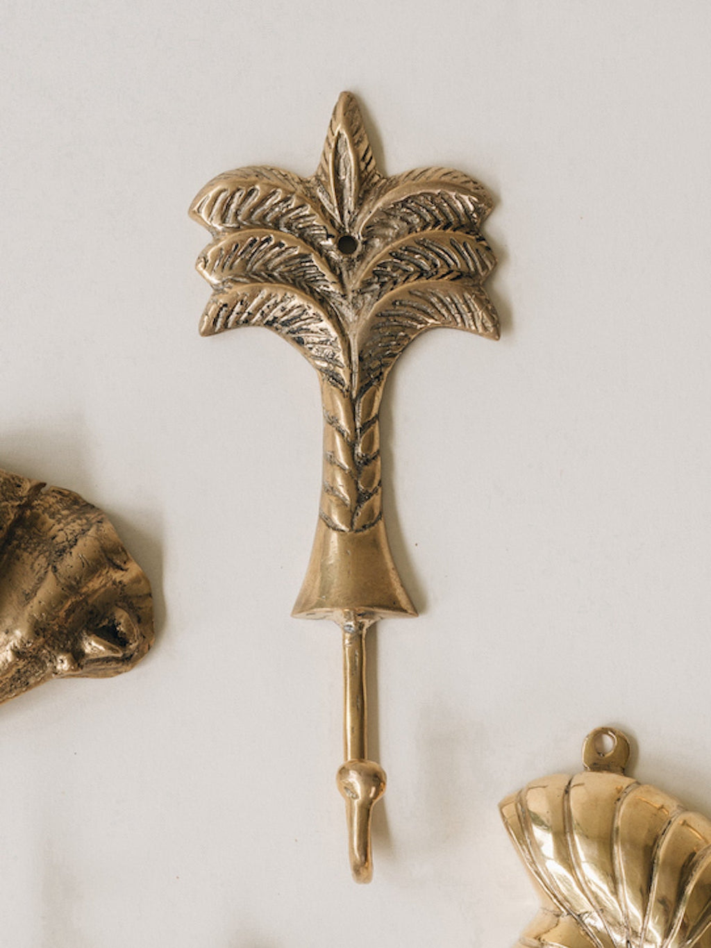 Tropical Brass Hooks