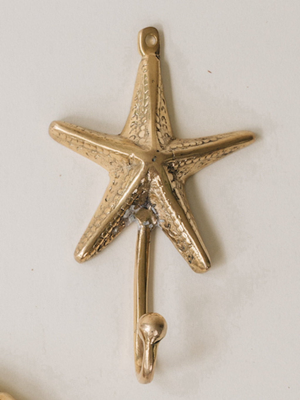 Tropical Brass Hooks