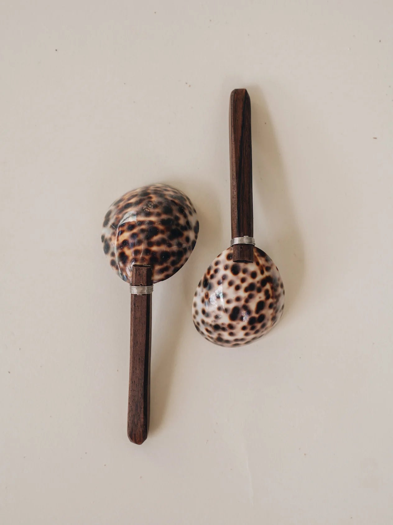 Cowrie Shell Spoon