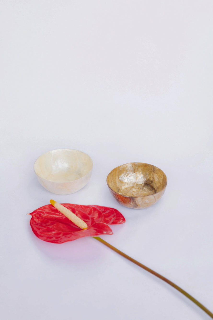 Capiz Shell Mini Bowl