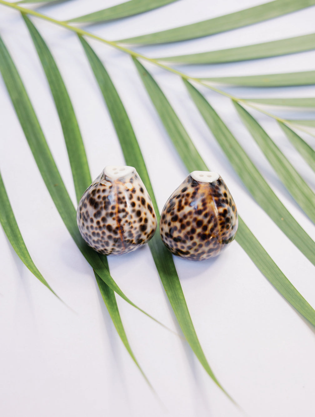 Cowrie Shell Salt & Pepper Shaker Set