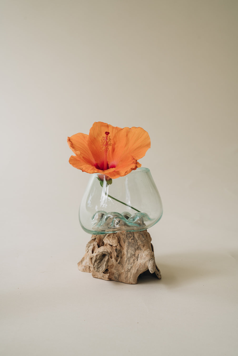 Driftwood & Hand Blown Glass Vase