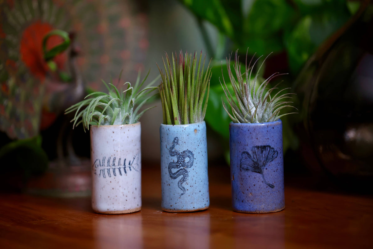 Tiny Tumblers - Waves
