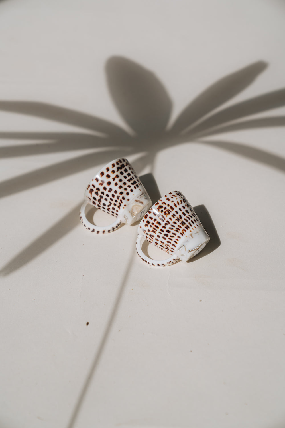 Hebrew Cone Shell Espresso Cups