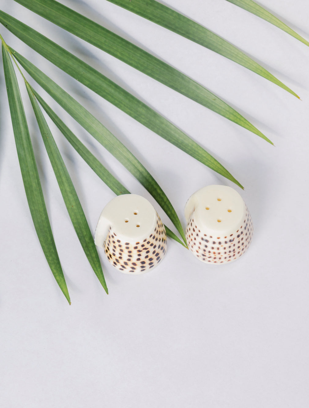 Hebrew Cone Shell Salt & Pepper Shaker Set